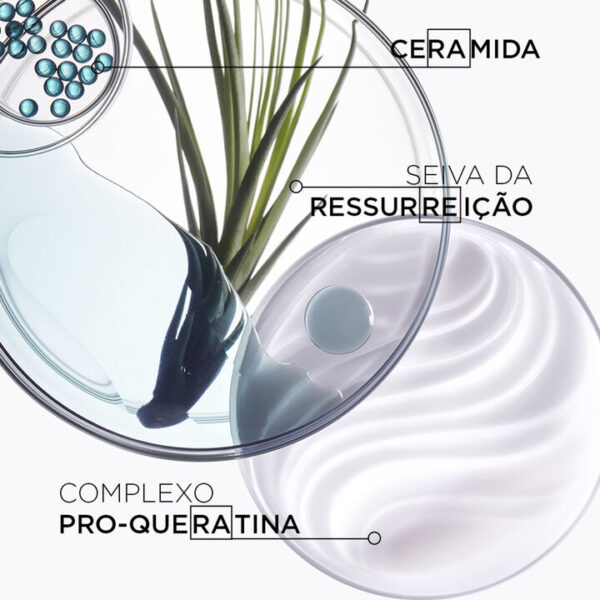 Shampoo Kérastase Résistance Bain Force Architecte - Image 4